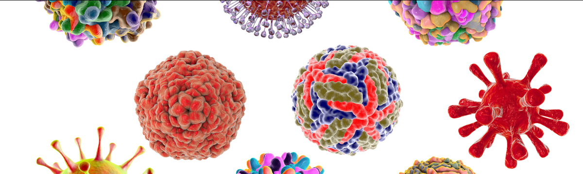 Preventing Foodborne Illnesses — The Big 6