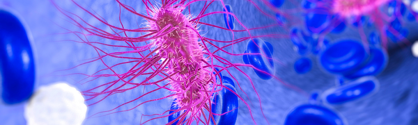 Shiga toxin-producing E. coli (STEC)