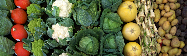 Salad Season Starts Early: Fresh Produce Safety in Late Winter